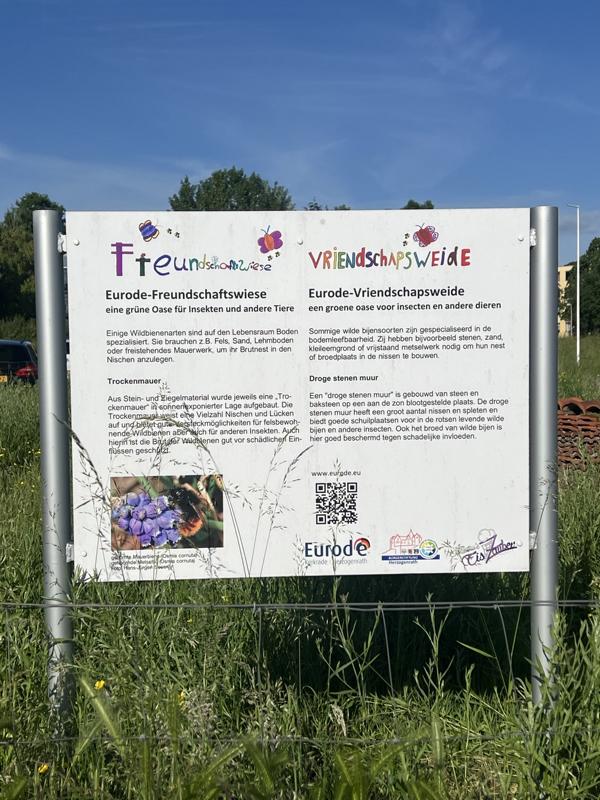 Flipwiese