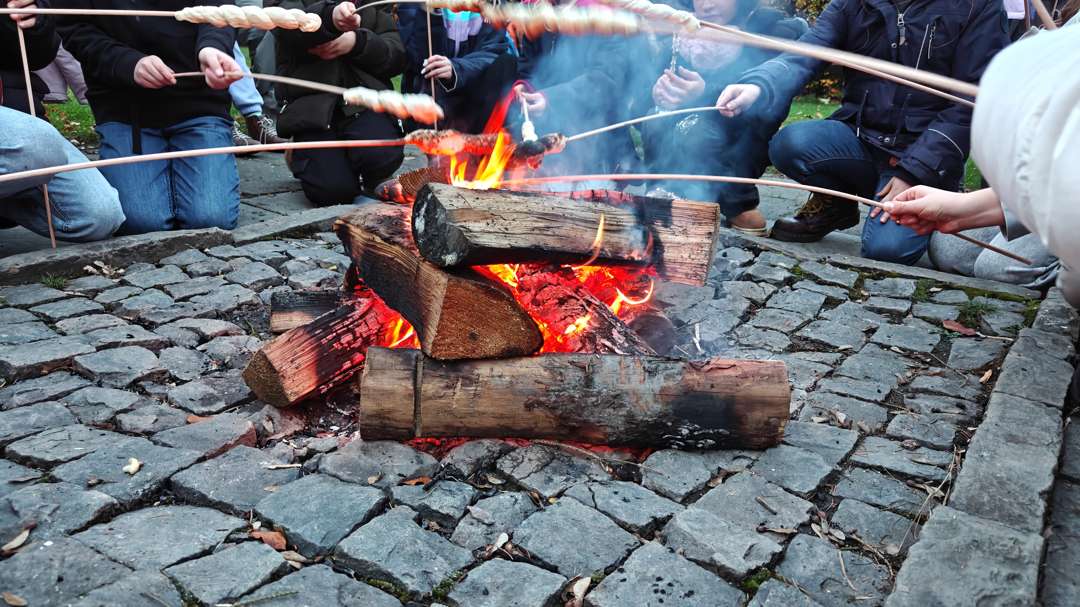 Die Raben und Löwen auf Klassenfahrt